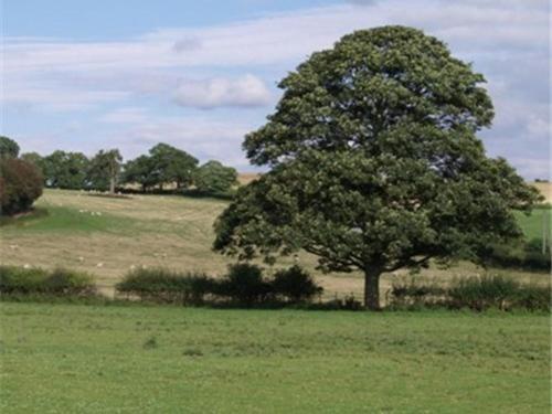 Bed and Breakfast Dove Meadow Denstone Exteriér fotografie